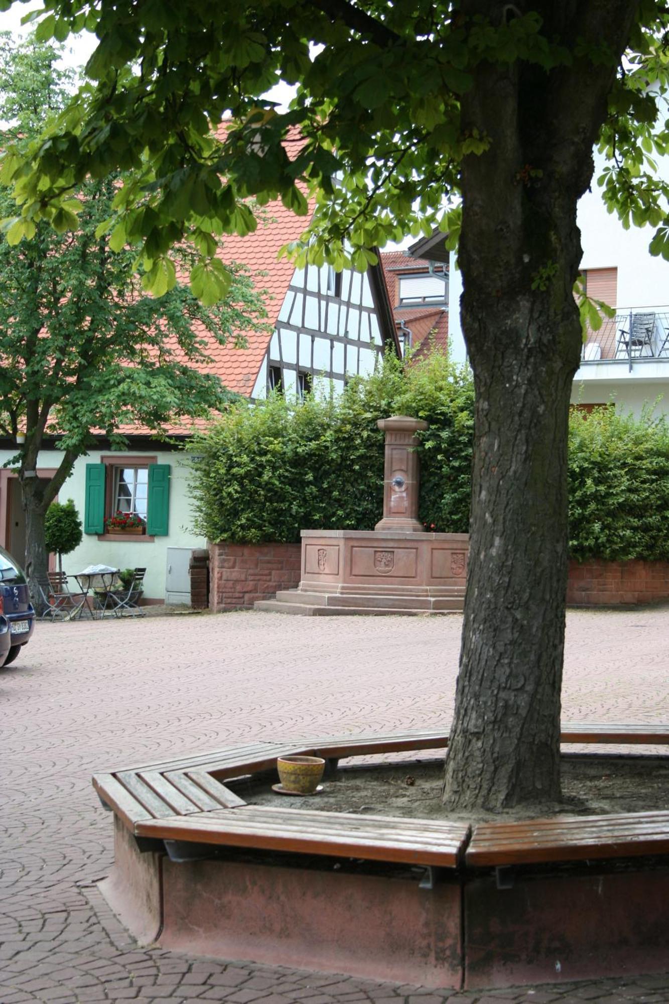 Landhotel Sickinger Hof Walldorf  Exteriör bild